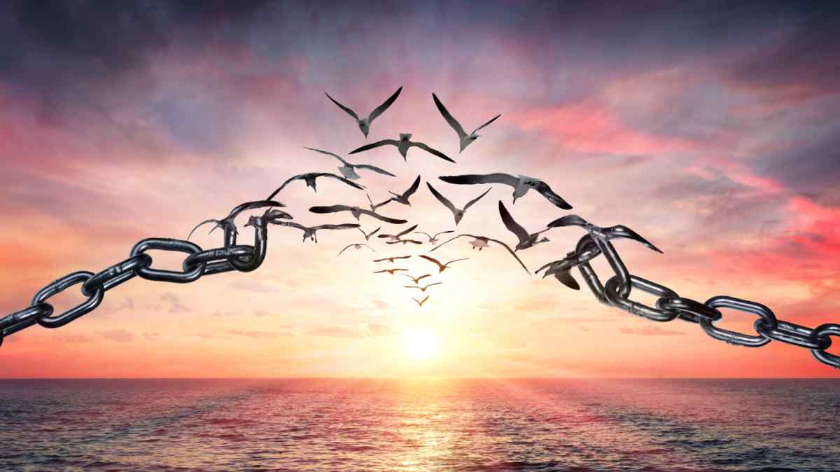 World Freedom Day