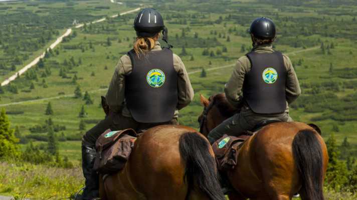 World Rangers Day