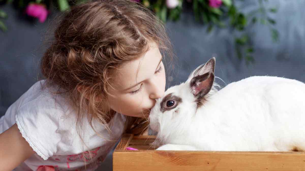 International Rabbit Day