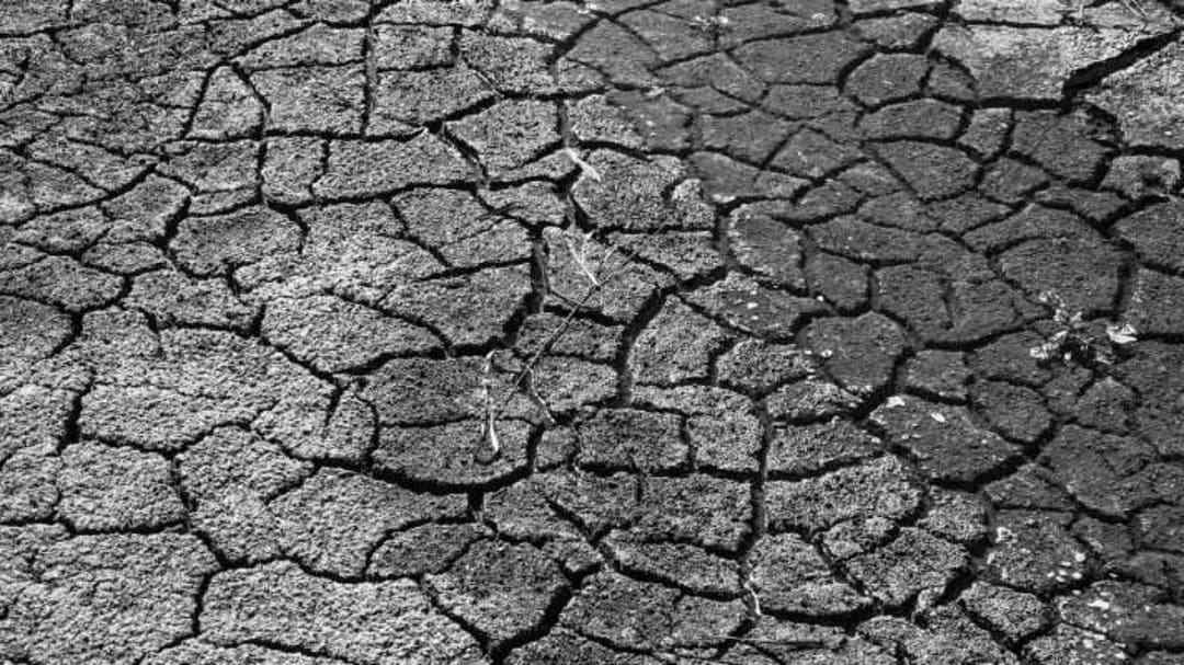 International Day Against Expansion of Desert and Drought