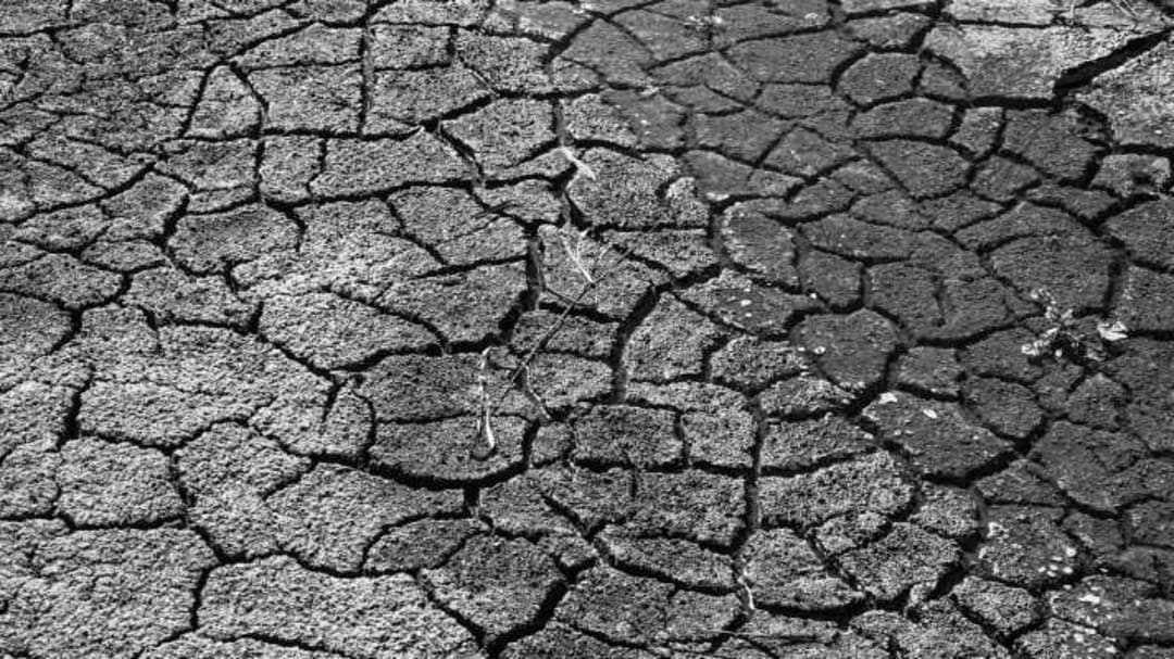 International Day Against Expansion of Desert and Drought