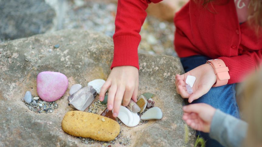 Collect Rocks Day