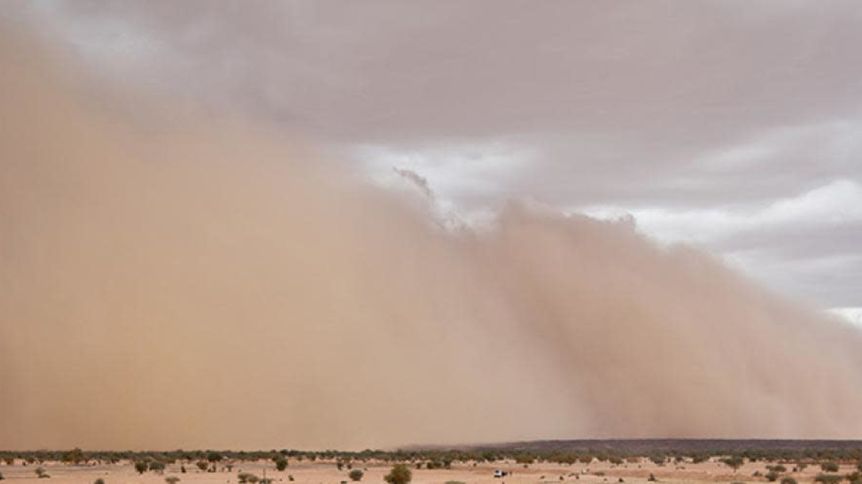 International Day of Combating Sand and Dust Storms