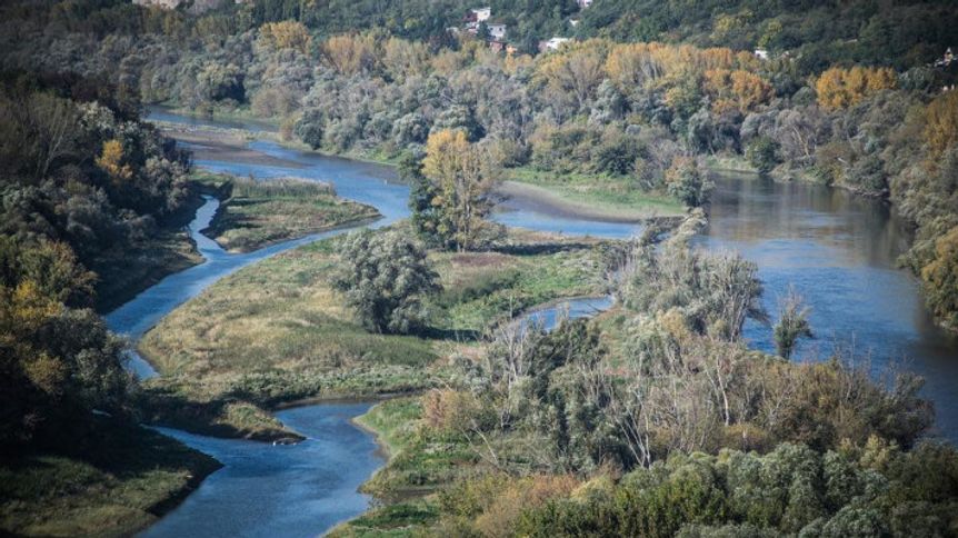 International Rivers Day