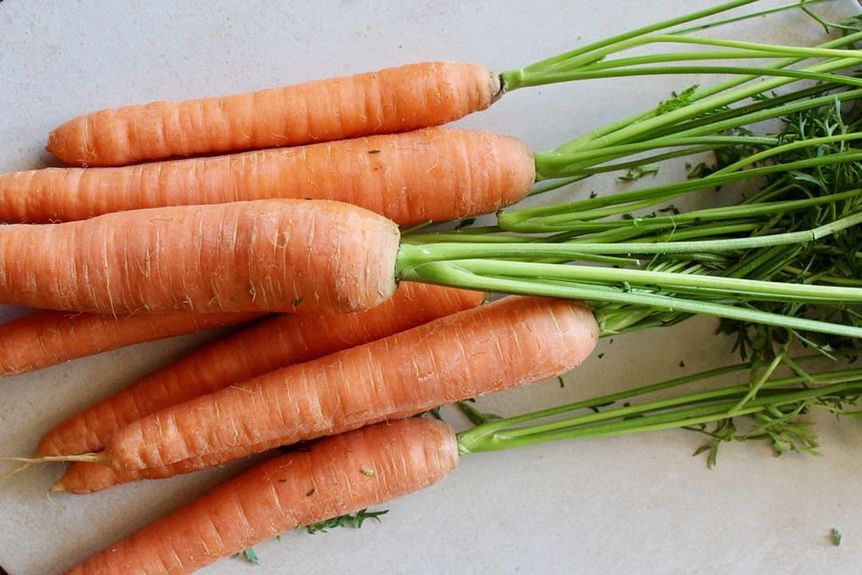 International Carrot Day