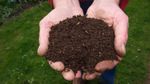 International Composting Week