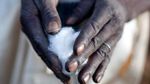 World Cotton Day