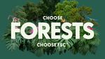 FSC Forest Week