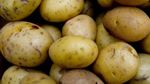 International Potato Day